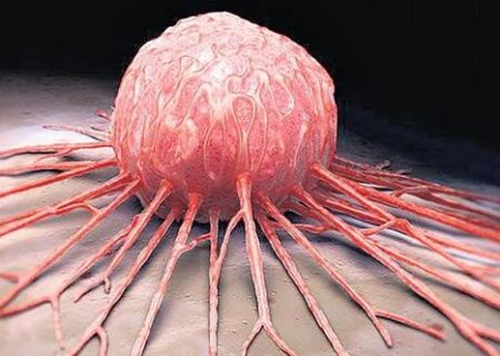 کاهش رشد تومور‌های سرطانی با مصرف تمشک