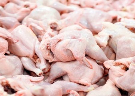 عرضه مرغ قطعه‌بندی اصناف ۲۰ درصد کمتر از شرکت‌های بسته‌بندی