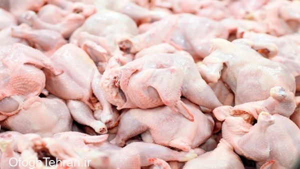 هشدار درباره افزایش شدید قیمت مرغ در بازار