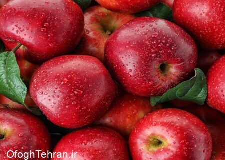 واردات موز در قبال صادرات سیب
