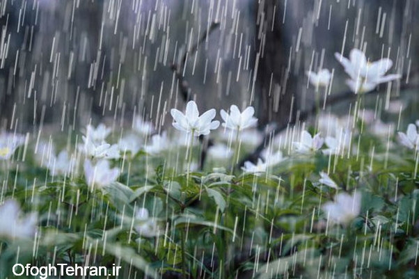 هشدار درباره بارش باران در تهران