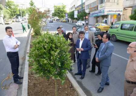 بازدید شهردار منطقه یک از مراحل پایانی رفیوژ سبز خیابان شریعتی
