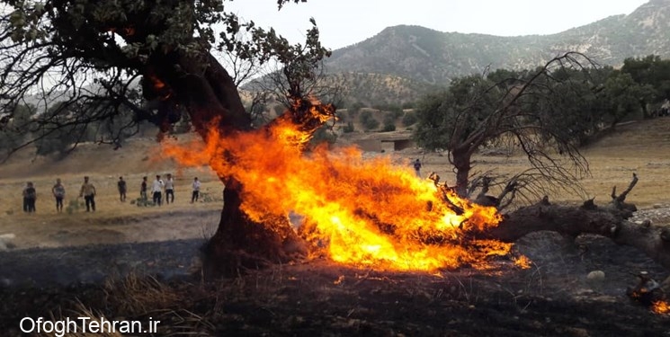 اعزام آتش نشانان تهران برای اطفای حریق جنگلهای زاگرس