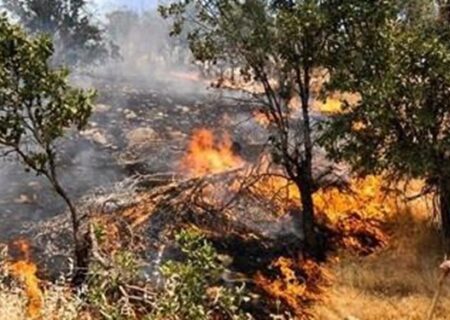 آتش گرفتن بخش عظیمی از جنگلهای زاگرس در دو سال اخیر