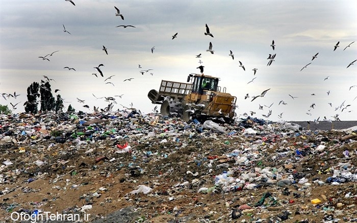 معضلات مجتمع بازیافت زباله آرادکوه