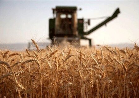خرید ۱.۵ میلیون تن گندم از کشاورزان