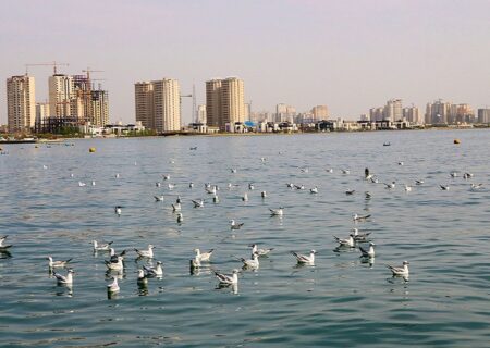 دریاچه شهدای خلیج فارس پذیرای ۱۱۴ گونه پرنده مهاجر