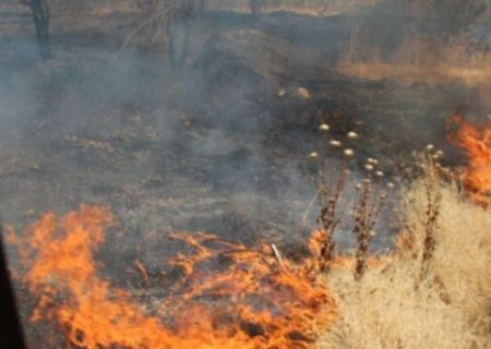 اجرای طرح پایلوت پیشگیری از آتش‌سوزی در سرخه حصار