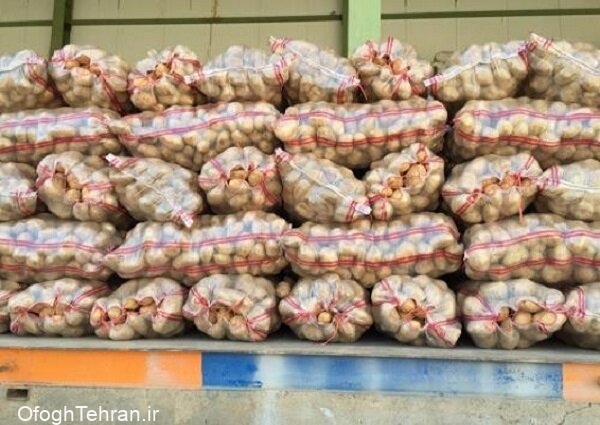 رشد ۸۳ درصدی صادرات سیب‌زمینی
