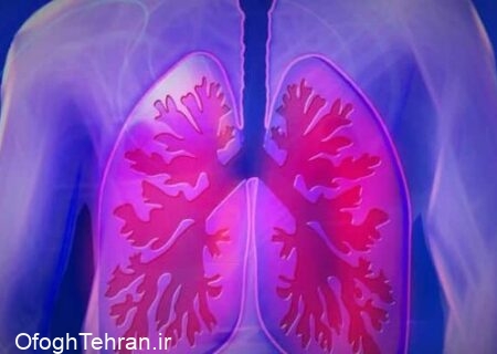 توصیه‌های حفظ سلامت دستگاه تنفسی در فصل سرما