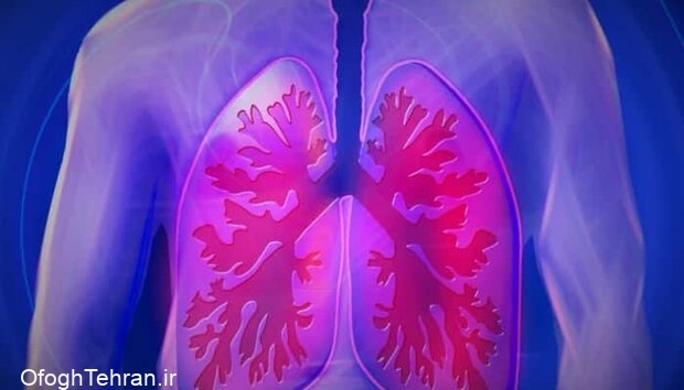 توصیه‌های حفظ سلامت دستگاه تنفسی در فصل سرما