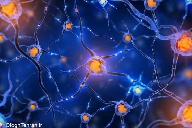 مهار سلول‌های عصبی با ژن درمانی