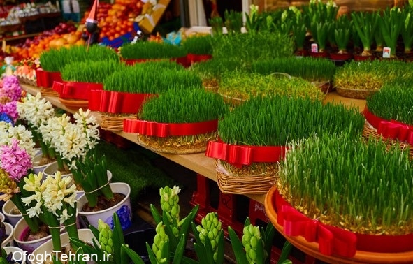 قیمت گل و سبزه عید در روزهای پایانی سال